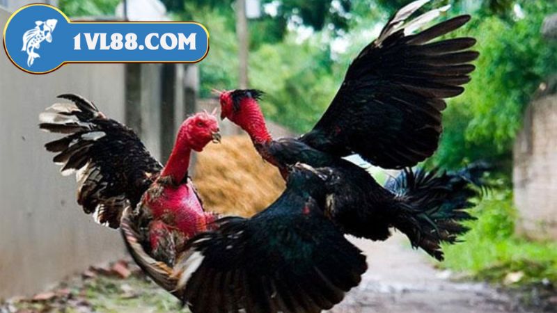 Sự Kết Nối Giữa Truyền Thống và Công Nghệ